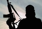 Bandits kill vigilante, kidnap 6 girls in Niger
