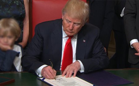 US-based Nigerians go into hiding amid Trump’s deportation crackdown