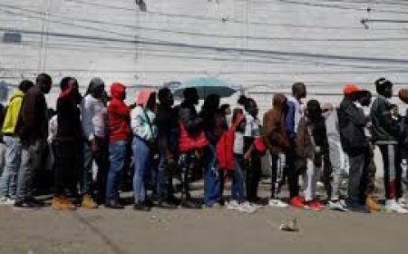 Trump’s crackdown: FG to receive Nigerian deportees as non-Americans are deported in handcuffs