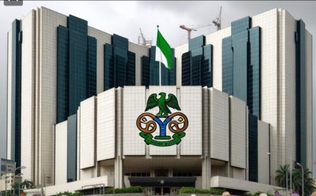 LGAs financial autonomy faces fresh hurdle on CBN demand