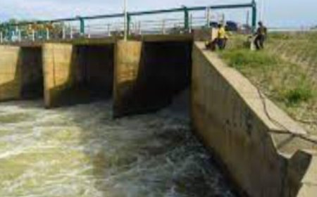 Flooding: FG approves N80bn for reconstruction, expansion of Alau Dam