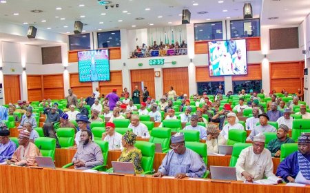 Reps committee proposes creation of 31 new states