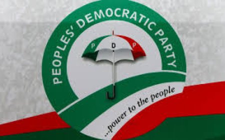 Ologbondiyan predicts fresh crisis for PDP over national chairmanship position