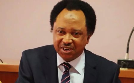 ‘It’s comical,’ Shehu Sani slams Reps proposal for 31 new states