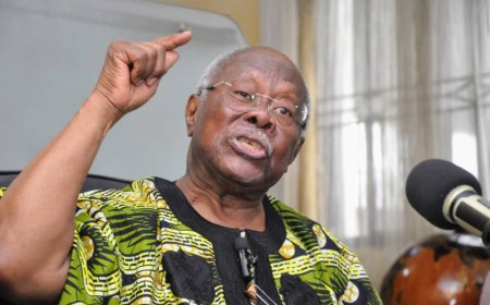 Tribalism, religious bigotry are two devils haunting Nigeria — Bode George