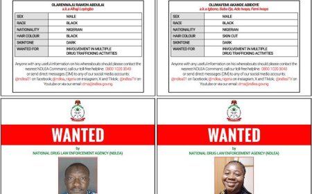 NDLEA Declares 4 Members Of ‘Barryshine’ Drug Cartel Wanted Over Cocaine Shipments To Saudi Arabia, Qatar, Others