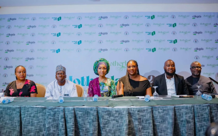 Nigeria set to develop Diaspora City, attract foreign investors —Musawa