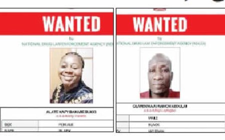 Four declared wanted over foiled drug shipments to Saudi Arabia, Qatar