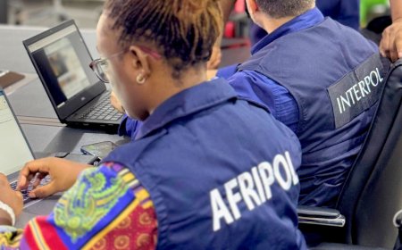 INTERPOL Nabs 36 In Nigeria Landmark Operation, Seizes $3m