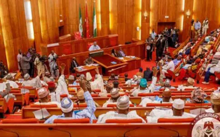 Senate moves to ban daytime operations of heavy-duty vehicles