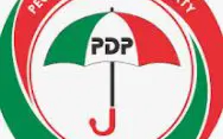 PDP crisis: NWC voids purported suspension of BoT chairman