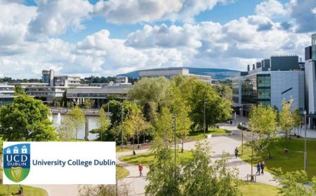 2025 University College Dublin Scholarship (Government of Ireland) | Fully Funded