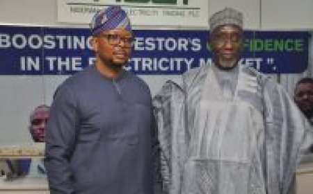 FG assures on stable, transparent electricity trading