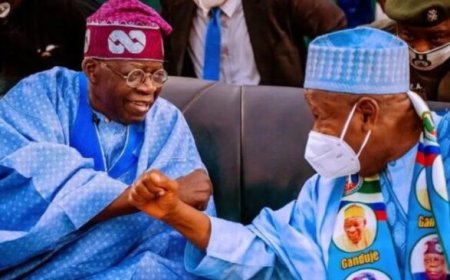 Tinubu’s reelection: ACF, others tackle Ganduje over no-vacancy comment