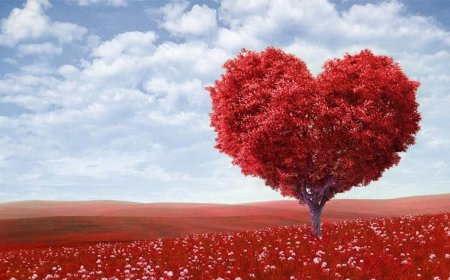 Use Valentine’s Day to spread love, not HIV – NACA