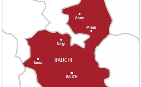 Truck crushes female student to death in Bauchi