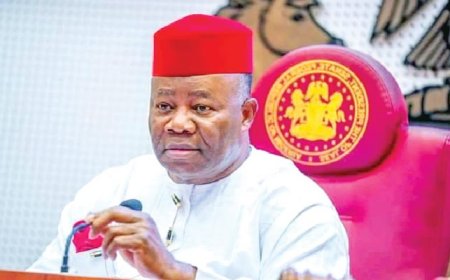Senate passes N54.99trn 2025 budget