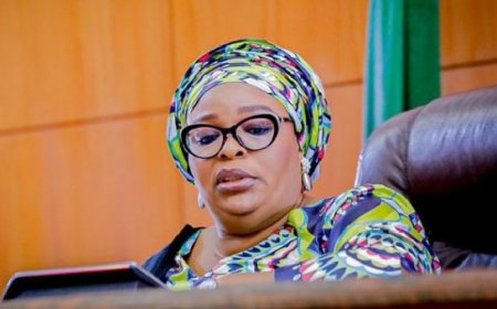 UNILAG to speaker Meranda: Lagos deserves leaders like you