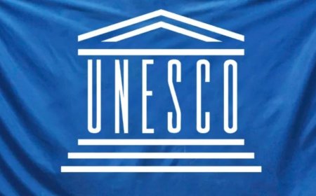 2025 UNESCO Internship Program For Students Worldwide | Step-by-Step Process