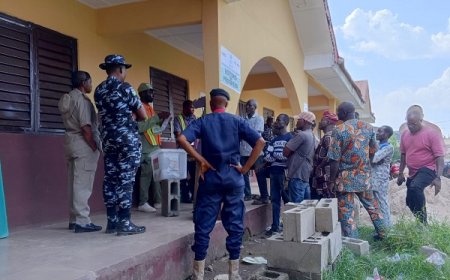 APM pulls out of Osun ‘illegal’ council poll