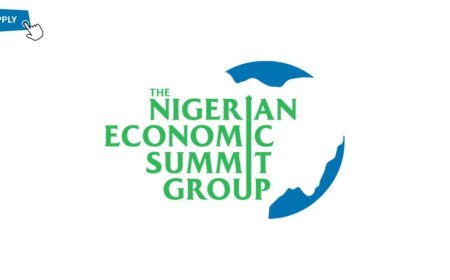 Finance Officer at Nigerian Economic Summit Group (NESG)