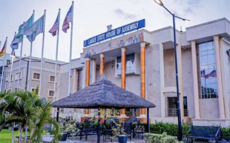 SSS's attendance and acts at the Lagos Assembly are controversial