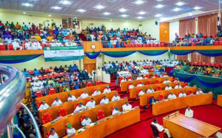 Lawmakers lament the invasion of the Lagos Assembly as a national embarrassment.
