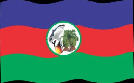G urged to disregard petitions against leadership of NDDC, other Ijaw leaders