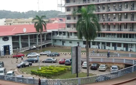 UCH Ibadan resident doctors commence indefinite strike over blackout