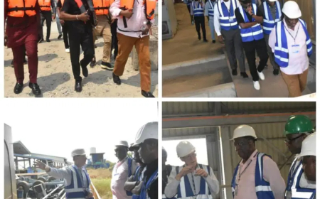 The NCDMB head insists on using local facilities while visiting Samsung, Africa.