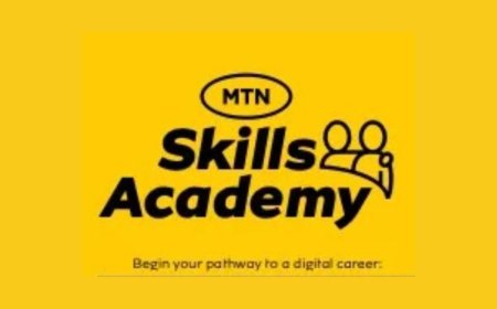 MTN Skills Academy Program For Africans | How To Apply