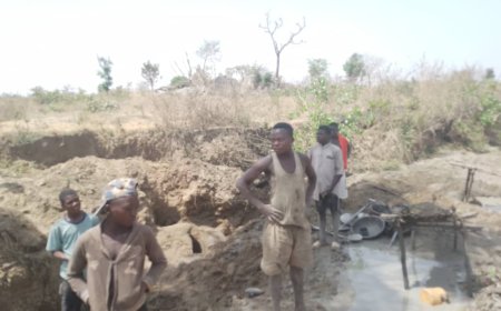 33 suspected illegal miners arrested in Niger