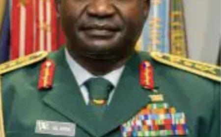 Visa Denial: Nigeria won’t tolerate disrespect from any country – General Musa