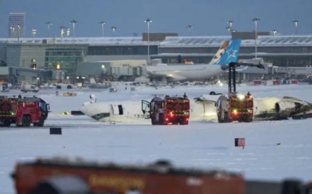 Delta airline offers $30,000 each to Toronto plane crash passengers