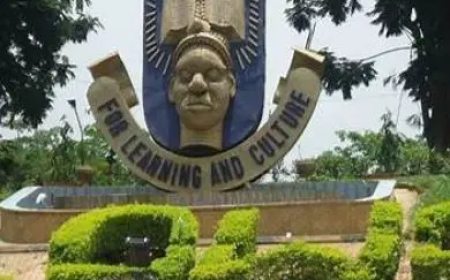 OAU to immortalise staff killed by lion
