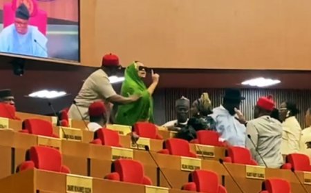Tension as Natasha tackles Senate President over seat relocation