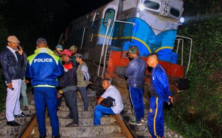 Six elephants killed as train collides with herd in Sri Lanka