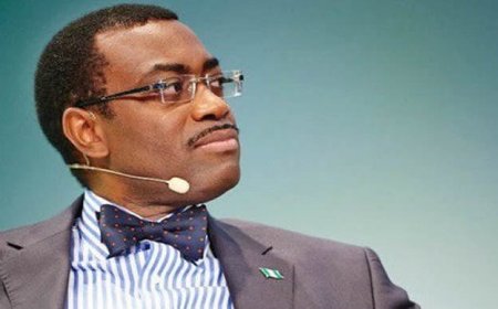 AfDB, Interpol partner to combat $90bn illicit financial flows in Africa