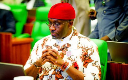None of the 31 proposal to create new states met requirements – Deputy Speaker