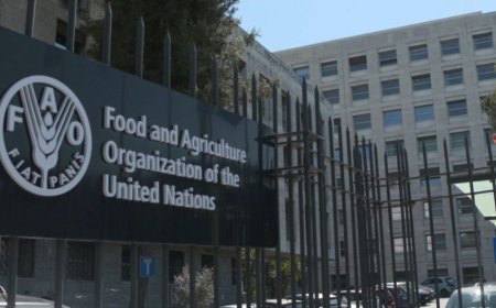 2025 FAO Internship Program (Food and Agriculture Organization) For Students Worldwide | How To Apply