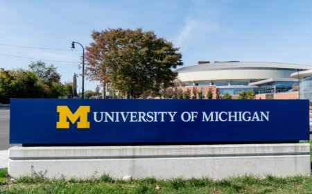 University of Michigan International Student Scholarship 2025 | Step-by-Step Process