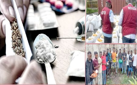3m Nigerians suffer drug addiction in northwest – NDLEA