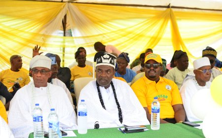 Odogbolu LG Boss, Babatunde Diya Marks 100 Days In Office