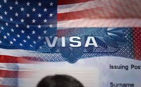 UK, Nigeria missing as US releases eligible countries for visa waiver programme