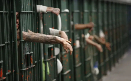 Herbalist jailed 14 years for attempted sexual assault on minor