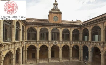 2025 University of Bologna Scholarships In Italy | Fully Funded