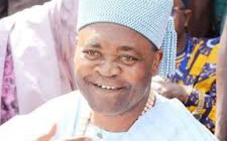 Ogun monarch orders arrest, detention of PUNCHman over trending video