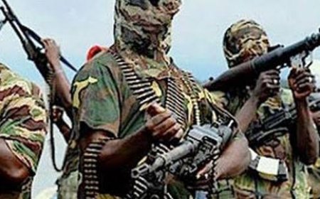 Houses, schools destroyed as Boko Haram attacks Adamawa villages