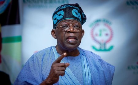 Nigeria making progress on economy, security – Tinubu