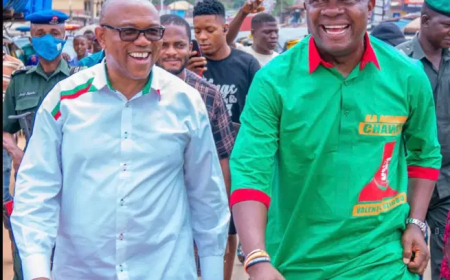I’d like to welcome Peter Obi in APC some day — Valentine Ozigbo